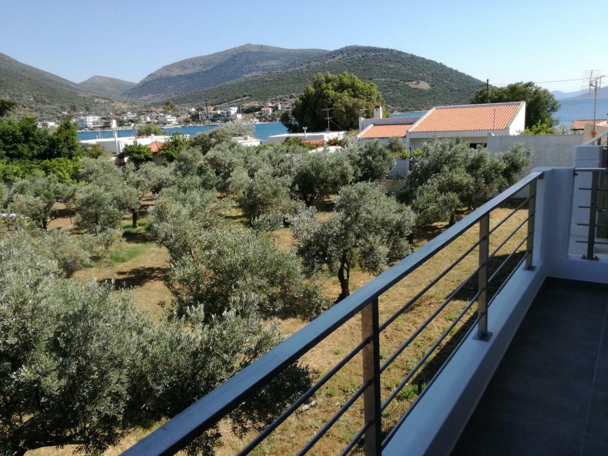 Ferienwohnung Almira Ghouse Almiropótamos Exterior foto
